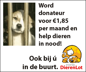 Dierenlot